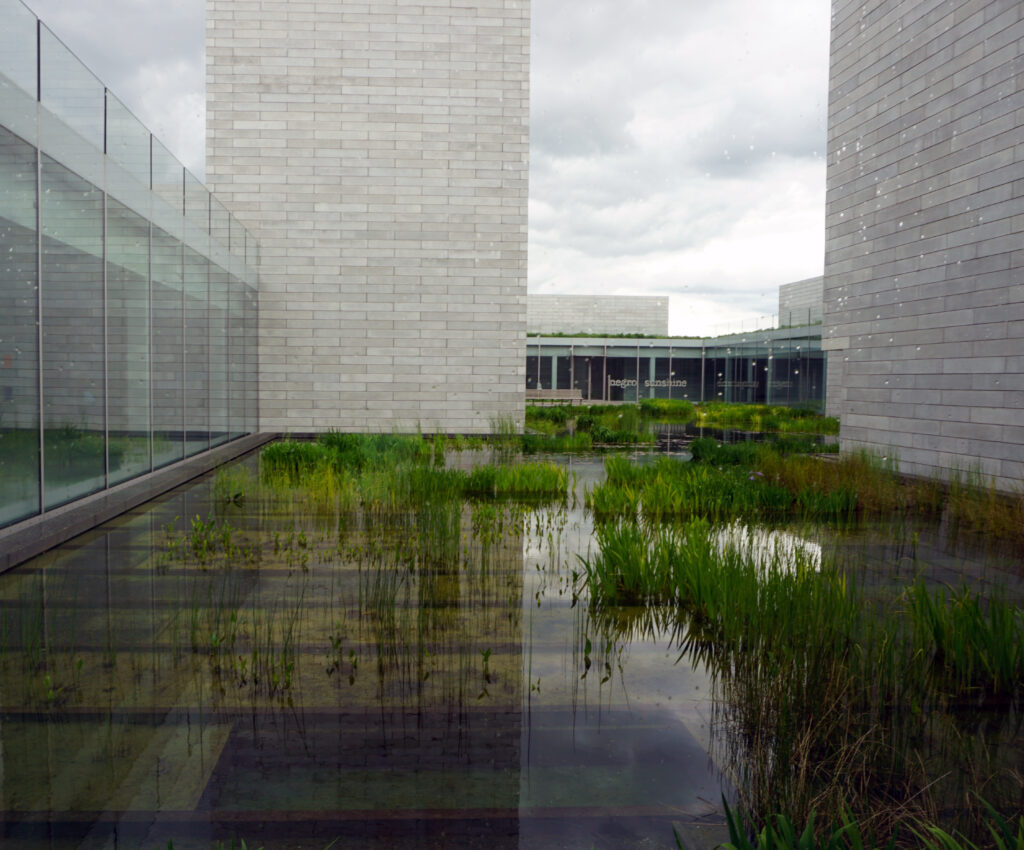 Celebrating a Century of Ellsworth Kelly: A Transformative Exhibit Lands at Glenstone Museum